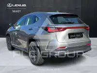 2023 Lexus NX250