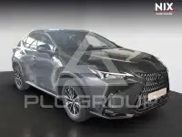2023 Lexus NX250