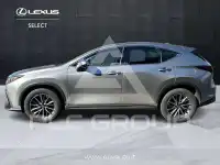 2023 Lexus NX250