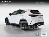 2023 Lexus NX250