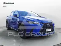 2023 Lexus NX250