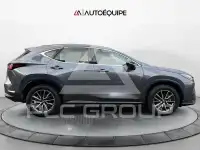 2023 Lexus NX250