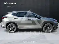 2023 Lexus NX250