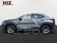 2023 Lexus NX250