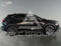 2023 Lexus NX250
