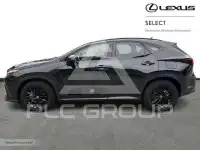 2023 Lexus NX250