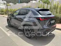 2023 Lexus NX250