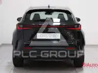 2023 Lexus NX250