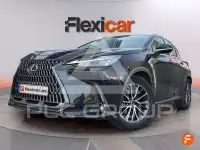 2023 Lexus NX250