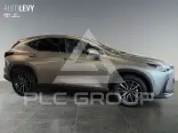 2023 Lexus NX250