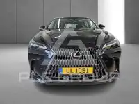 2023 Lexus NX250