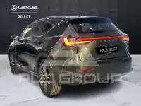 2023 Lexus NX250