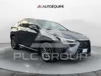 2023 Lexus NX250