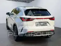 2023 Lexus NX250