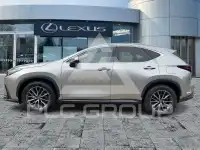 2023 Lexus NX250