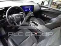 2023 Lexus NX250