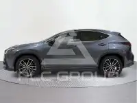 2023 Lexus NX250