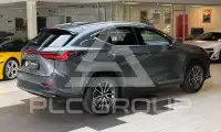 2023 Lexus NX250