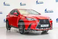 2023 Lexus NX250