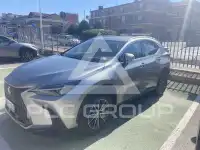 2023 Lexus NX250
