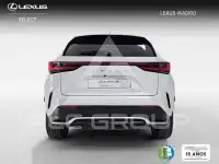 2023 Lexus NX250