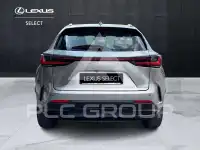 2023 Lexus NX250