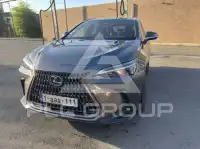 2023 Lexus NX250