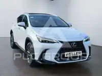 2023 Lexus NX250