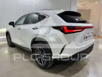 2023 Lexus NX450