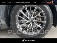 2023 Lexus NX450