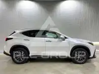 2023 Lexus NX450