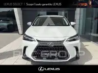 2023 Lexus NX450