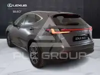 2023 Lexus NX450