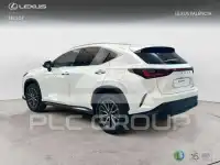 2023 Lexus NX450