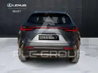 2023 Lexus NX450