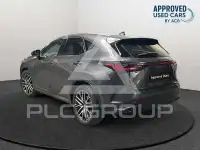 2023 Lexus NX450