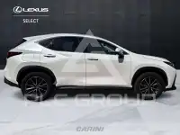 2023 Lexus NX450