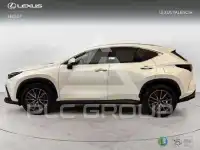 2023 Lexus NX450