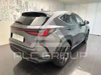 2023 Lexus NX450