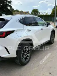 2023 Lexus NX450
