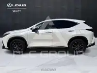 2023 Lexus NX450