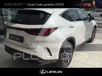 2023 Lexus NX450