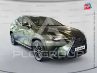 2023 Lexus NX450
