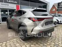 2023 Lexus NX450