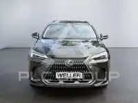 2023 Lexus NX450
