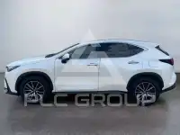 2023 Lexus NX450