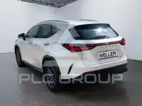 2023 Lexus NX450