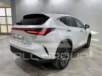 2023 Lexus NX450