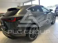 2023 Lexus NX450