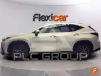 2023 Lexus NX450